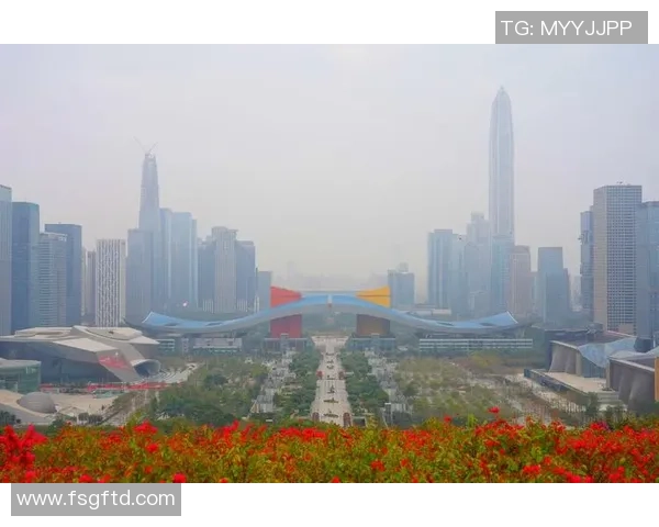 深圳飞盘队在世界街舞大赛中的崛起与成长历程全景揭秘